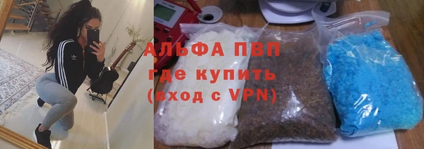 гашик Надым