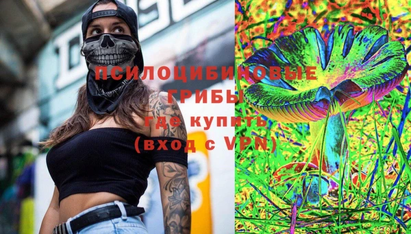 гашик Надым
