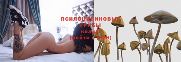 гашик Надым
