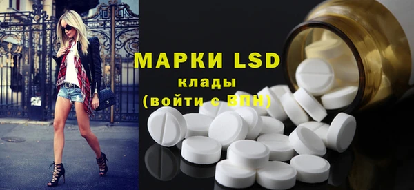 гашик Надым
